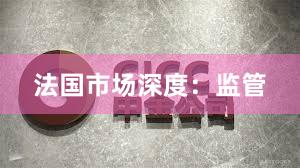 法国市场深度：监管