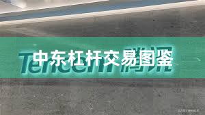 中东杠杆交易图鉴